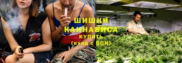 mdpv Богородск