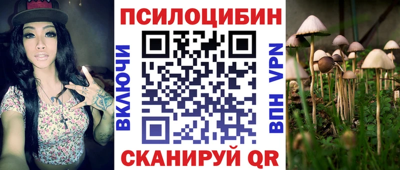 наркотики  mega ссылки  Псилоцибиновые грибы мицелий  Абакан 
